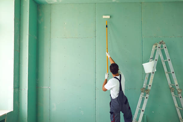 Best Black Mold Removal  in Chesapeake, OH