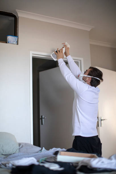 Mold Removal for HVAC Installations in Chesapeake, OH