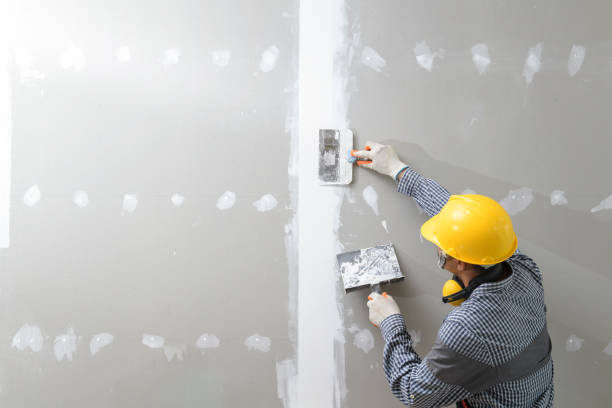 Best Mold-Related Health Consultation  in Chesapeake, OH