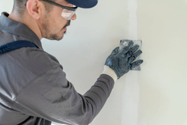 Best Mold Documentation for Insurance Claims  in Chesapeake, OH