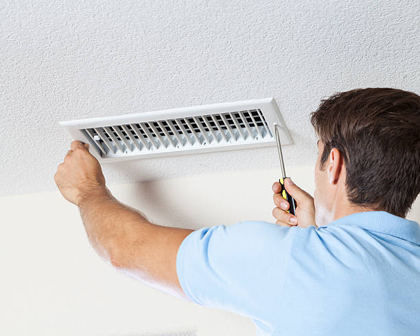 Best Water Damage & Mold Remediation  in Chesapeake, OH